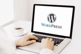 Преимущества и недостатки WordPress