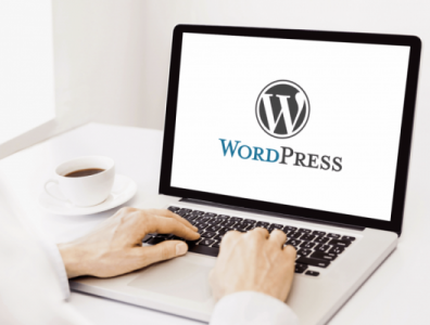 Преимущества и недостатки WordPress